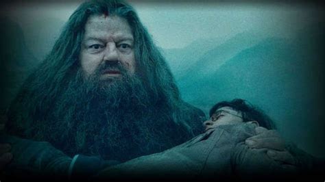 hagrid rubeus|rubeus hagrid best scenes.